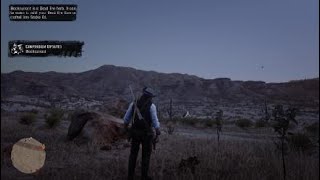 Red Dead Redemption 2 Black Currant Location [upl. by Irianat]