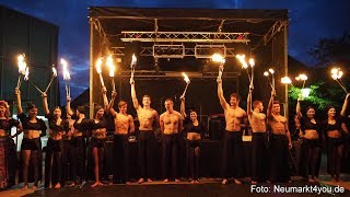 Feuershow Circusverein amp Artico Neumarkt [upl. by Tracy195]