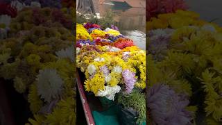 Mattilo theme  Dal lake  Kashmir  Boat house  music coversong surya ytshorts trip kashmir [upl. by Godspeed908]