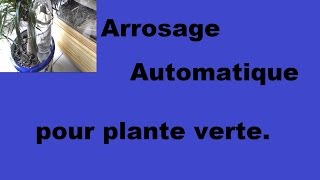 Arrosage automatique pour plante verte [upl. by Radburn]