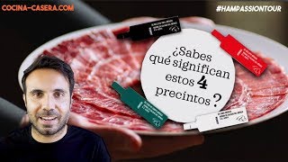 ¿Qué JAMÓN IBÉRICO elegir Guía Definitiva [upl. by Brightman]