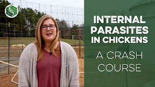 Preventing Internal Parasites in Chickens A Crash Course [upl. by Themis789]