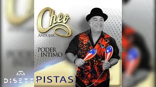 Cheo Andujar  Día Tras Día Audio Oficial  Salsa Romántica [upl. by Ecneret]