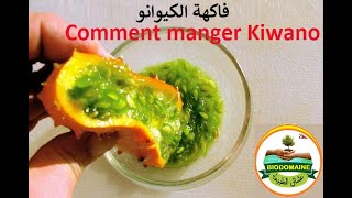 kiwano fruit شاهد كيف نتناول فاكهة الكيوانو [upl. by Ajtak]