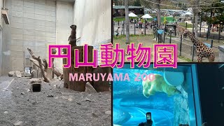 【円山動物園】動物園へ行こう 色んな動物と出会う [upl. by Kellby177]