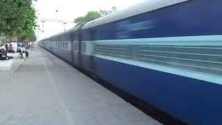 12803 SWARNA JAYANTI express at MAXIMUM speed [upl. by Niuq976]