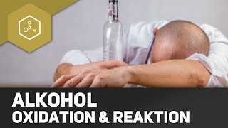 Alkohol  Reaktionen  Oxidation von Alkoholen [upl. by Annatsirhc404]