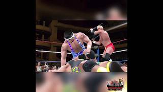 WWE 2K22  Bodydonnas attack Steiner Brothers with chairs after the match wwe2k22 wwe2k shorts [upl. by Ayala]