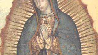 History of Apparitions Spotlight on Our Lady of Guadalupe [upl. by Imarej246]