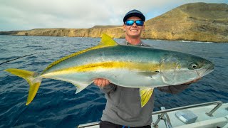 HUGE California Yellowtail Catch Clean Cook California Deep Sea Island Fishing [upl. by Aivuy]