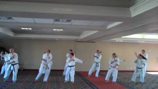 OKINAWAN KARATE CLUB OF DALLAS Overview of OKCD 2010 [upl. by Atimad561]