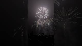 Amazing display of fireworks fireworks shorts [upl. by Moffat]