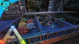 S3E6  Base Improvements and a Achatina Farm ARK Survival Evolved PVP Season [upl. by Edecrem947]