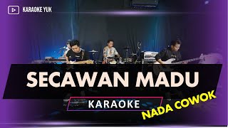 SECAWAN MADU KARAOKE NADA COWOK PRIA [upl. by Islehc]