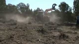 Land Clearing  BH85 Bull Hog  PTO Mulcher [upl. by Cookie]