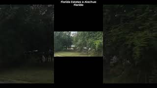 Florida Estates a Alachua FL 2024 [upl. by Cher]