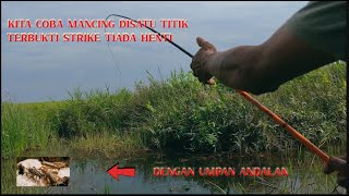 MANCING IKAN DI SATU TITIK ‼️ TERBUKTI STRIKE TANPA HENTI NF14 [upl. by Ahs]