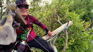 Ngetapel bareng youtuber Taiwan mas Vanjay fishing [upl. by Helve633]