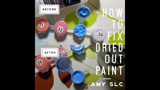 How to fix dried out acrylic paint for Paint By Numbers [upl. by Marven]