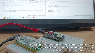 MicroPython bluetooth examples using aioble library between Raspberry Pi Pico W and ESP32C3 [upl. by Ainesej]