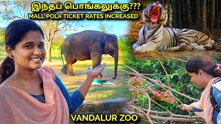 VANDALUR ZOO 2022 Arignar Anna Zoological park vandalur chennai zoo [upl. by Ping]