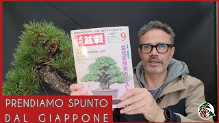 Creare ispirandosi al bonsai del Giappone M° Takashi Iura [upl. by Metzgar]