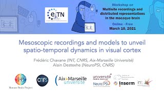 Frédéric Chavane amp Alain Destexhe  Mesoscopic Recordings and Models to Unveil Spatiotemporal Dy [upl. by Palumbo]