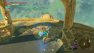 another botw glitch pls like it took me so long to do [upl. by Llednil]