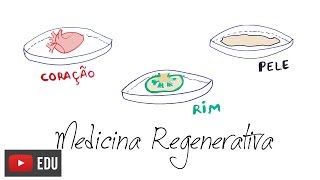 Medicina Regenerativa e as Célulastronco  InstanteBiotec 05 [upl. by Enenaj]