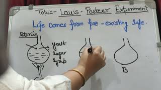 Louis Pasteur Experiment evolution  Origin Of Life12 class [upl. by Cuda]