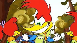 Woody Woodpecker en Français  Faire Woody Woodpecker  Tout Neuf  Clip Bonus [upl. by Aicittel791]