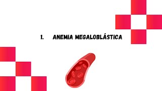 1 Anemia megaloblástica  Hematología [upl. by Eleets]