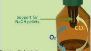 How to find biochemical oxygen demand by oxitop method [upl. by Nitsruk428]