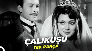 Çalıkuşu  Türkan Şoray Yeşilçam Filmi Tek Parça [upl. by Relyc]