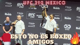 UFC 290 ¡Cero Tune up Fight Mejores vs Mejores que lo entienda CANELO [upl. by Datnow]