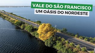 VALE DO RIO SÃO FRANCISCO Uma viagem pelo Velho Chico [upl. by Sigrid253]