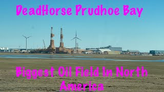 Welcome To The Town Of DeadHorse Prudhoe BayOil Field Of ALASKA alaskatruckers [upl. by Radford]