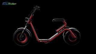 EcoRider CitycocoHarley Scooter [upl. by Damales]