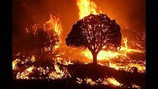 Leaking Hell Hits the US Boiling Hot Temperatures to Forest Fires [upl. by Adnuahsal]