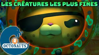 Octonauts  Les créatures les plus fines  Dessins animés pour enfants [upl. by Reffinnej]