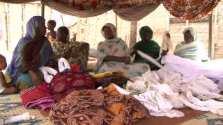 Mauritania Women Microfinance [upl. by Ilarin]