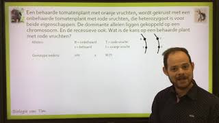 Biologie van Tim  Gekoppelde overerving [upl. by Viridi320]