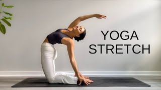 15 Minute Yoga Stretch Break  Open Your Body amp Feel Amazing [upl. by Gati]