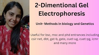 2D Gel electrophoresis [upl. by Herm]