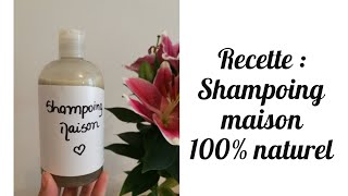 Recette Shampoing maison 100 naturel  DIY [upl. by Doloritas]