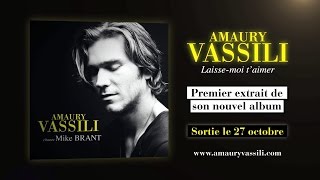 Amaury Vassili  Laissemoi taimer Official Lyrics video [upl. by Ellivro928]