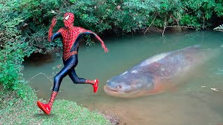 Homem Aranha e o Monstro Peixe Aranha Histórias de SUPER HERÓIS [upl. by Wilone]