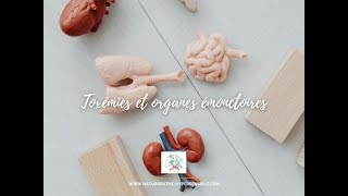 Toxémies et organes émonctoires [upl. by Rehtaef]