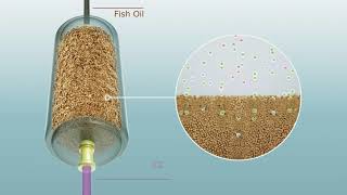 Solutexs technologies and innovations in the field of biolipids [upl. by Rocca171]