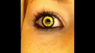 Wolf Contacts Review [upl. by Obnukotalo]